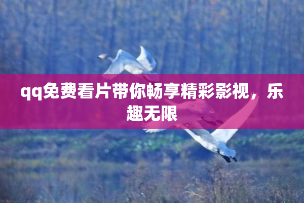 qq免费看片带你畅享精彩影视，乐趣无限