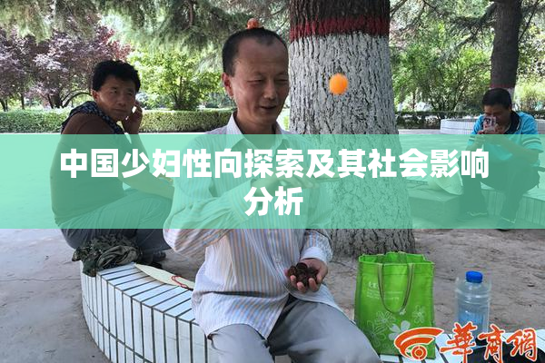 中国少妇性向探索及其社会影响分析