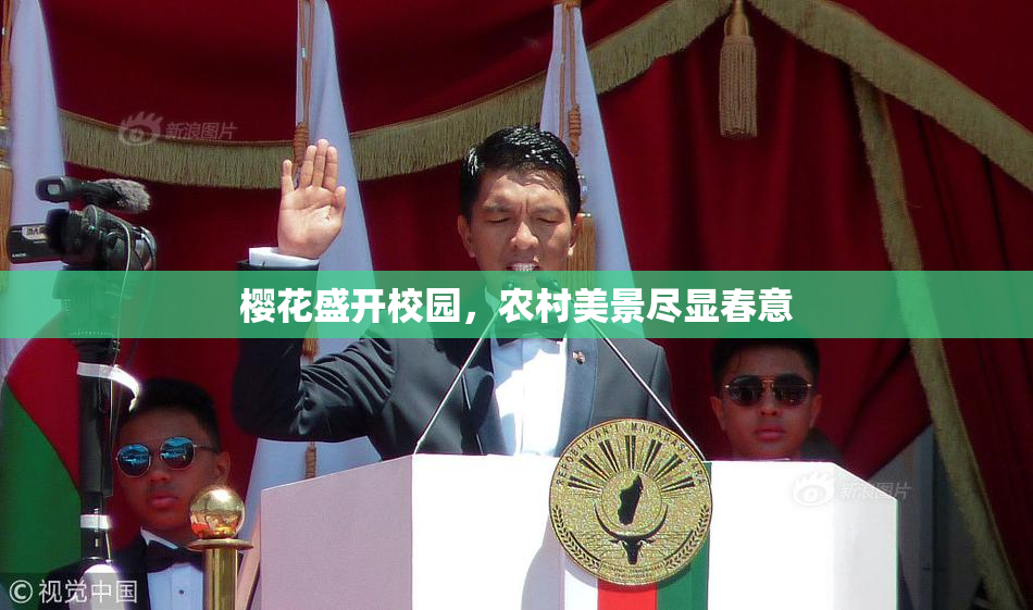 樱花盛开校园，农村美景尽显春意