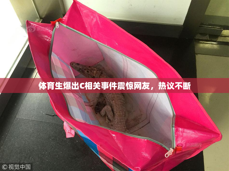 体育生爆出C相关事件震惊网友，热议不断