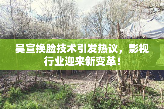 吴宣换脸技术引发热议，影视行业迎来新变革！