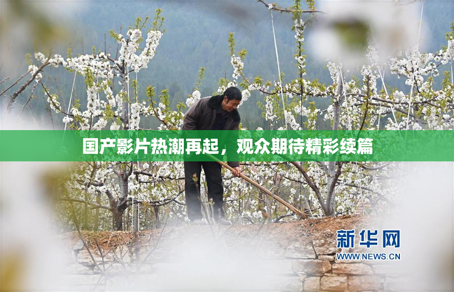 国产影片热潮再起，观众期待精彩续篇