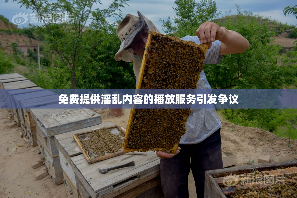 免费提供淫乱内容的播放服务引发争议