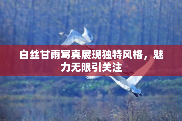 白丝甘雨写真展现独特风格，魅力无限引关注