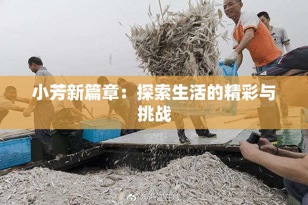 小芳新篇章：探索生活的精彩与挑战