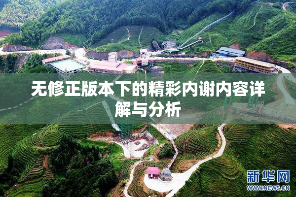 无修正版本下的精彩内谢内容详解与分析