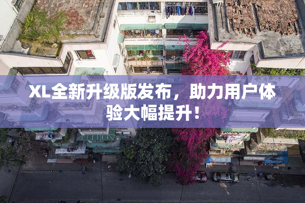 XL全新升级版发布，助力用户体验大幅提升！