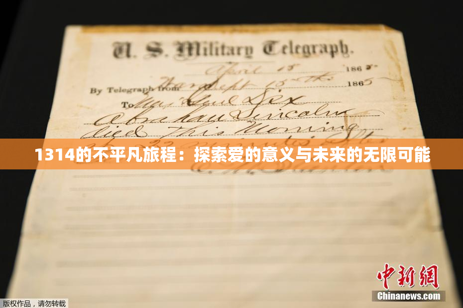 1314的不平凡旅程：探索爱的意义与未来的无限可能