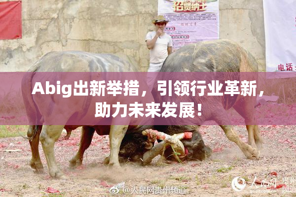 Abig出新举措，引领行业革新，助力未来发展！