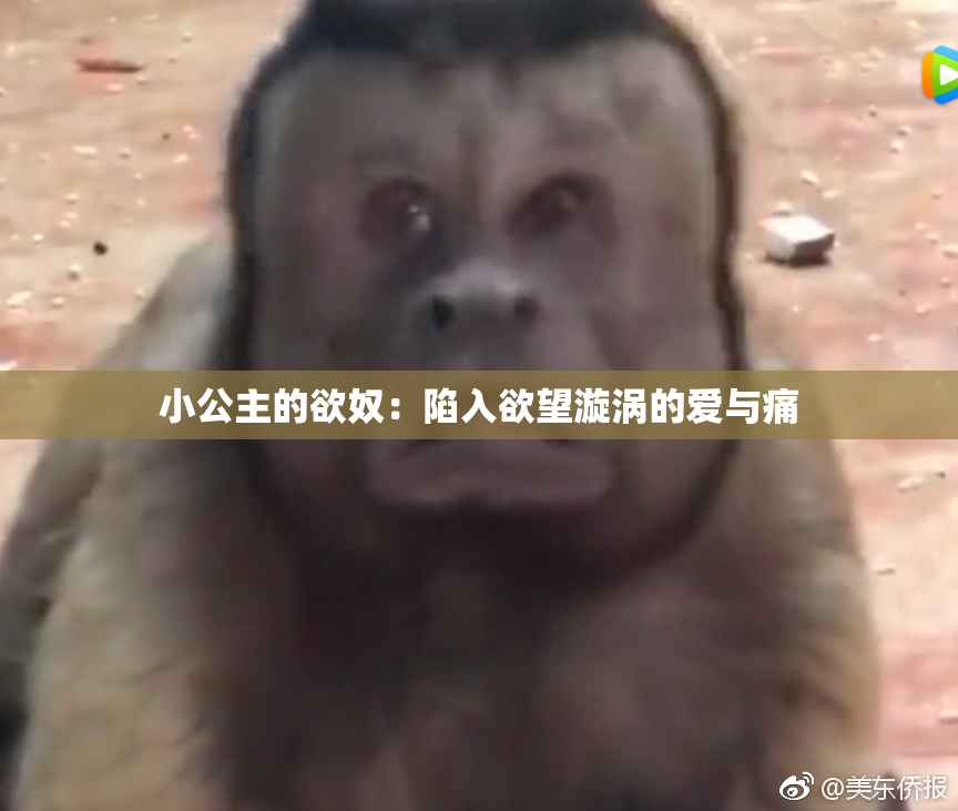 小公主的欲奴：陷入欲望漩涡的爱与痛