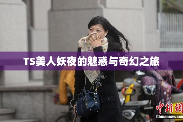 TS美人妖夜的魅惑与奇幻之旅