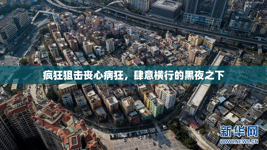 疯狂狙击丧心病狂，肆意横行的黑夜之下