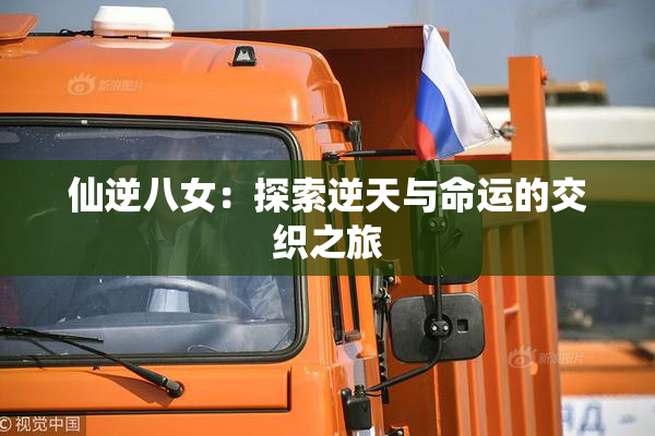 仙逆八女：探索逆天与命运的交织之旅