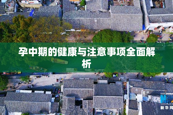 孕中期的健康与注意事项全面解析