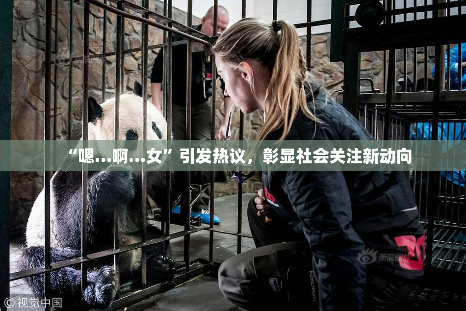 “嗯…啊…女”引发热议，彰显社会关注新动向