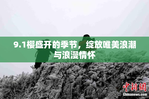 9.1樱盛开的季节，绽放唯美浪潮与浪漫情怀