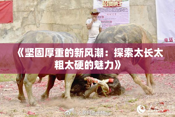 《坚固厚重的新风潮：探索太长太粗太硬的魅力》