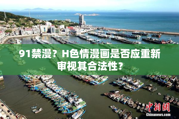 91禁漫？H色情漫画是否应重新审视其合法性？