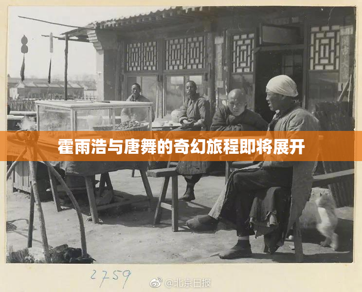 霍雨浩与唐舞的奇幻旅程即将展开