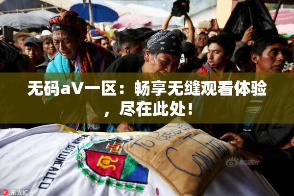 无码aV一区：畅享无缝观看体验，尽在此处！
