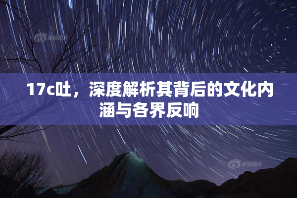 17c吐，深度解析其背后的文化内涵与各界反响