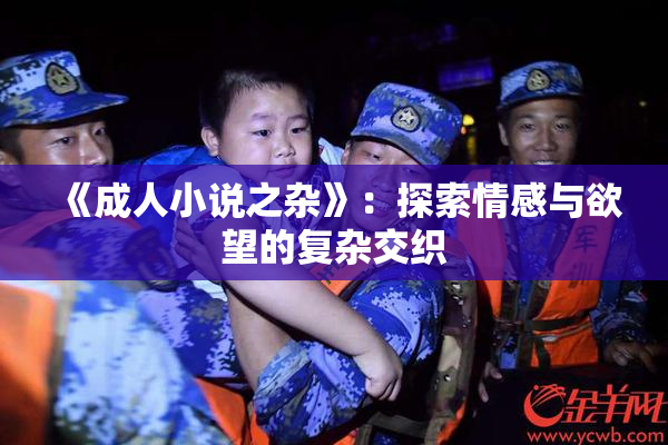 《成人小说之杂》：探索情感与欲望的复杂交织