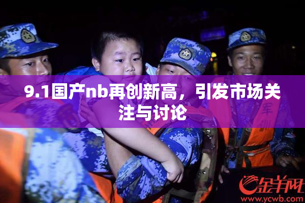 9.1国产nb再创新高，引发市场关注与讨论