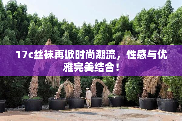 17c丝袜再掀时尚潮流，性感与优雅完美结合！