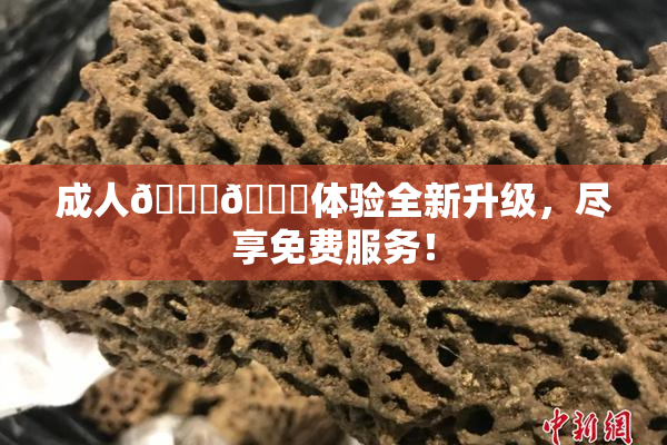成人🍆🍑体验全新升级，尽享免费服务！
