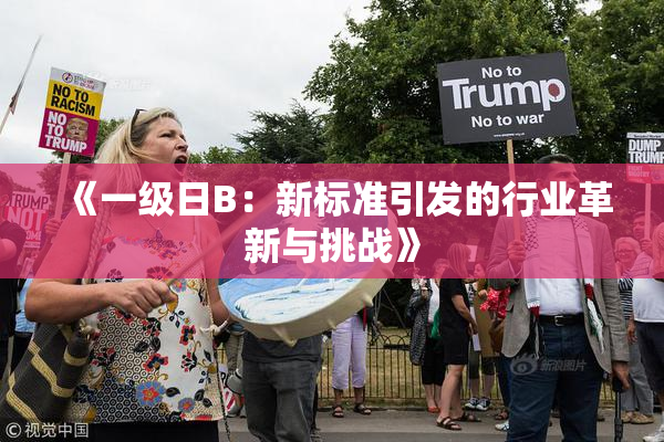《一级日B：新标准引发的行业革新与挑战》