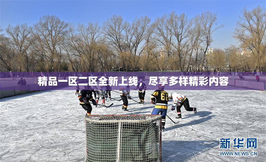 精品一区二区全新上线，尽享多样精彩内容