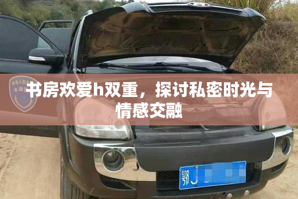书房欢爱h双重，探讨私密时光与情感交融