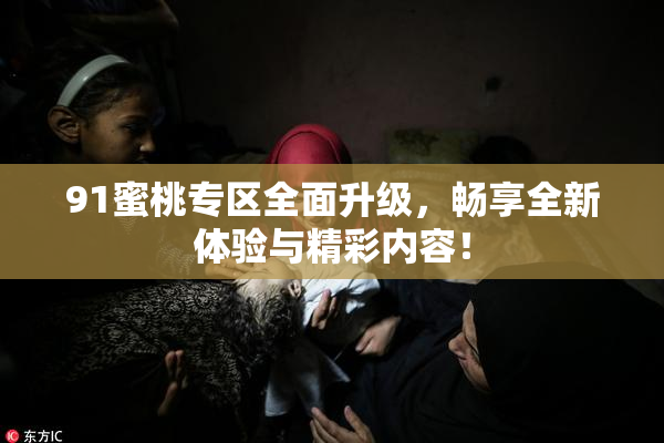 91蜜桃专区全面升级，畅享全新体验与精彩内容！