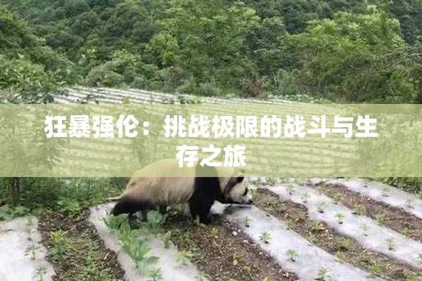 狂暴强伦：挑战极限的战斗与生存之旅