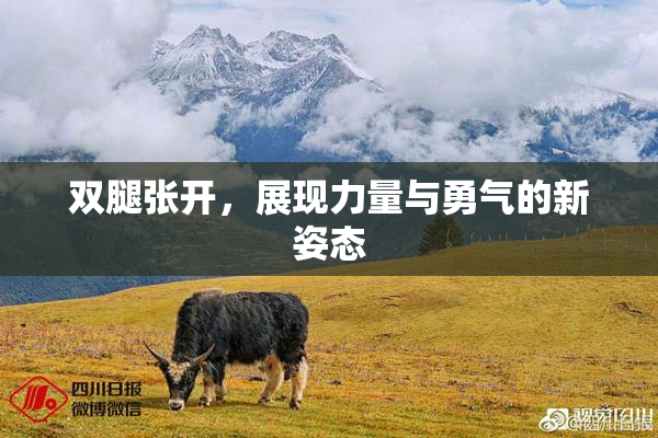 双腿张开，展现力量与勇气的新姿态
