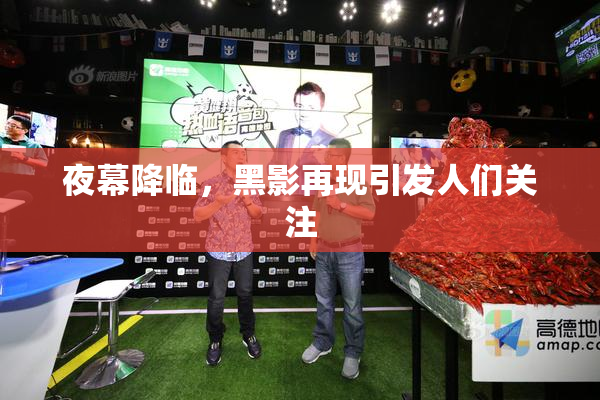 夜幕降临，黑影再现引发人们关注
