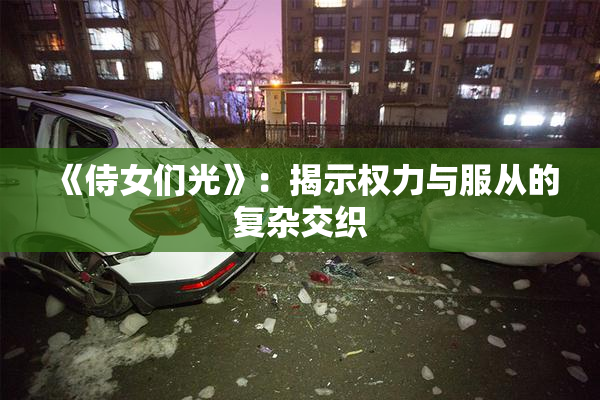 《侍女们光》：揭示权力与服从的复杂交织