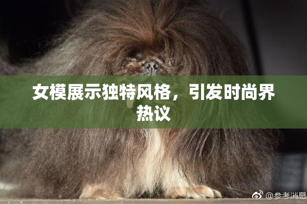 女模展示独特风格，引发时尚界热议