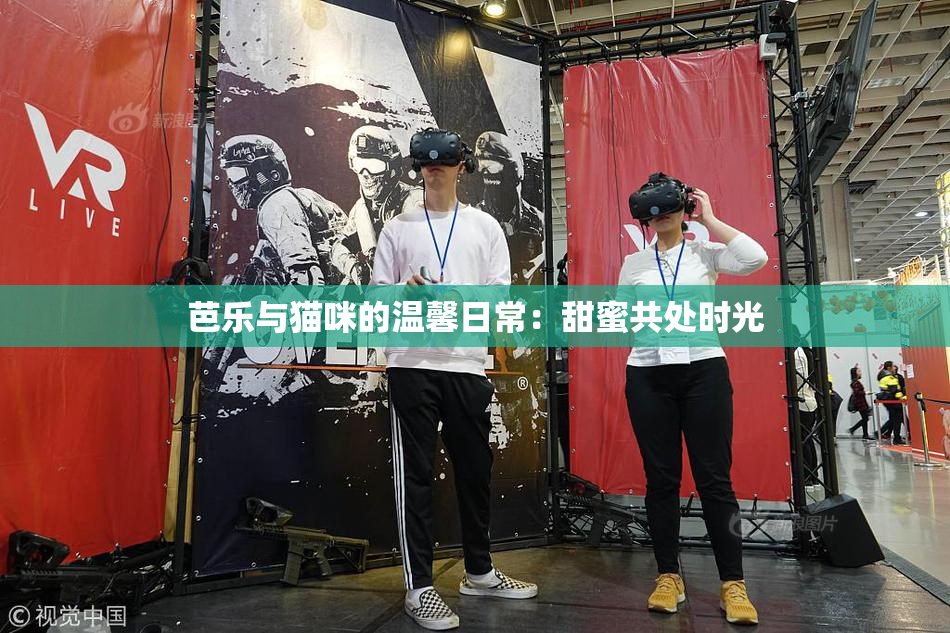 芭乐与猫咪的温馨日常：甜蜜共处时光