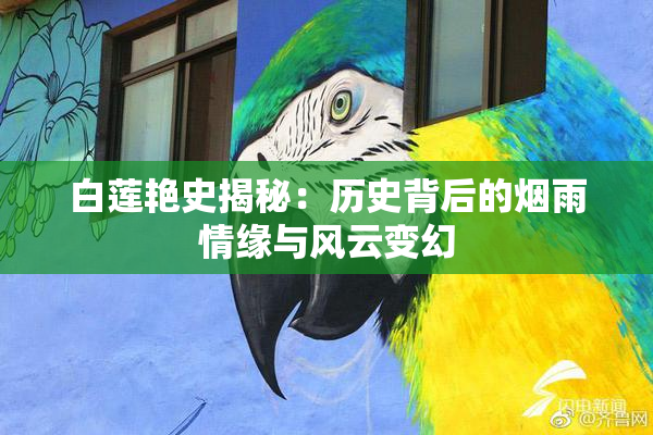 白莲艳史揭秘：历史背后的烟雨情缘与风云变幻