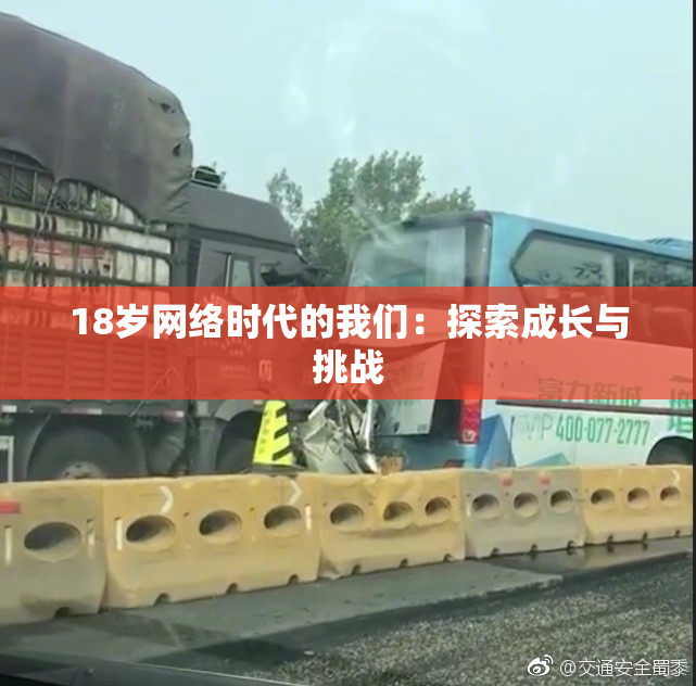 18岁网络时代的我们：探索成长与挑战