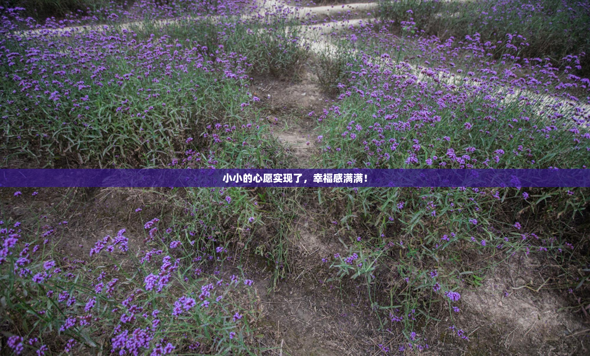 小小的心愿实现了，幸福感满满！