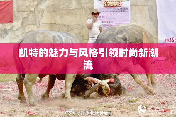 凯特的魅力与风格引领时尚新潮流