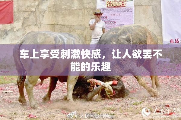 车上享受刺激快感，让人欲罢不能的乐趣