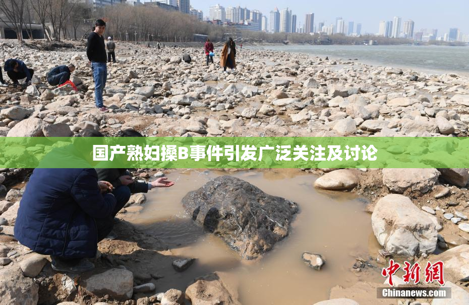 国产熟妇搡B事件引发广泛关注及讨论