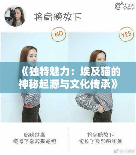 《独特魅力：埃及猫的神秘起源与文化传承》