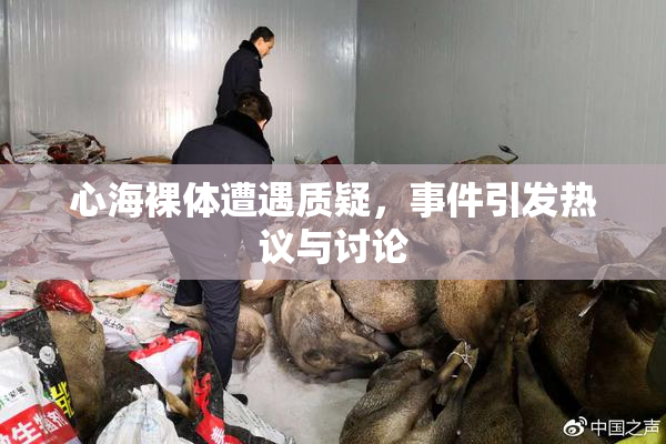 心海裸体遭遇质疑，事件引发热议与讨论