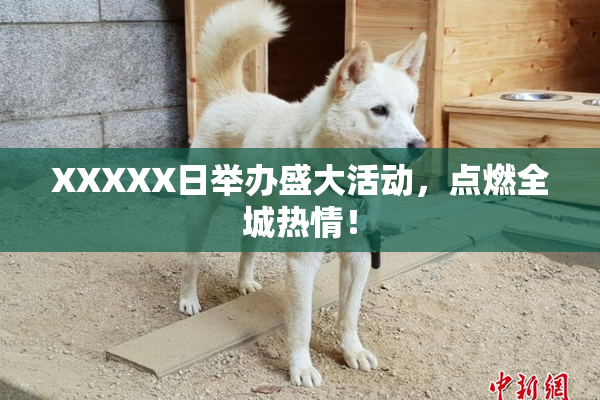XXXXX日举办盛大活动，点燃全城热情！
