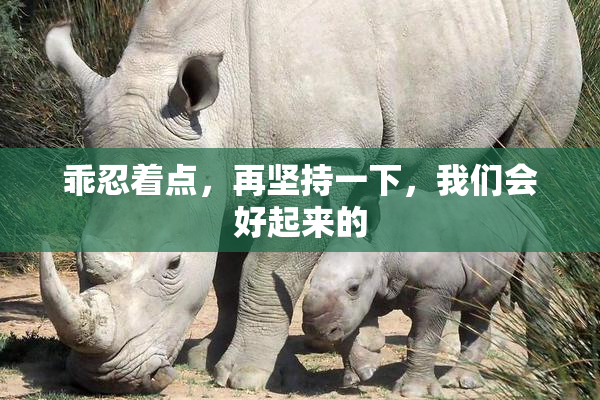 乖忍着点，再坚持一下，我们会好起来的