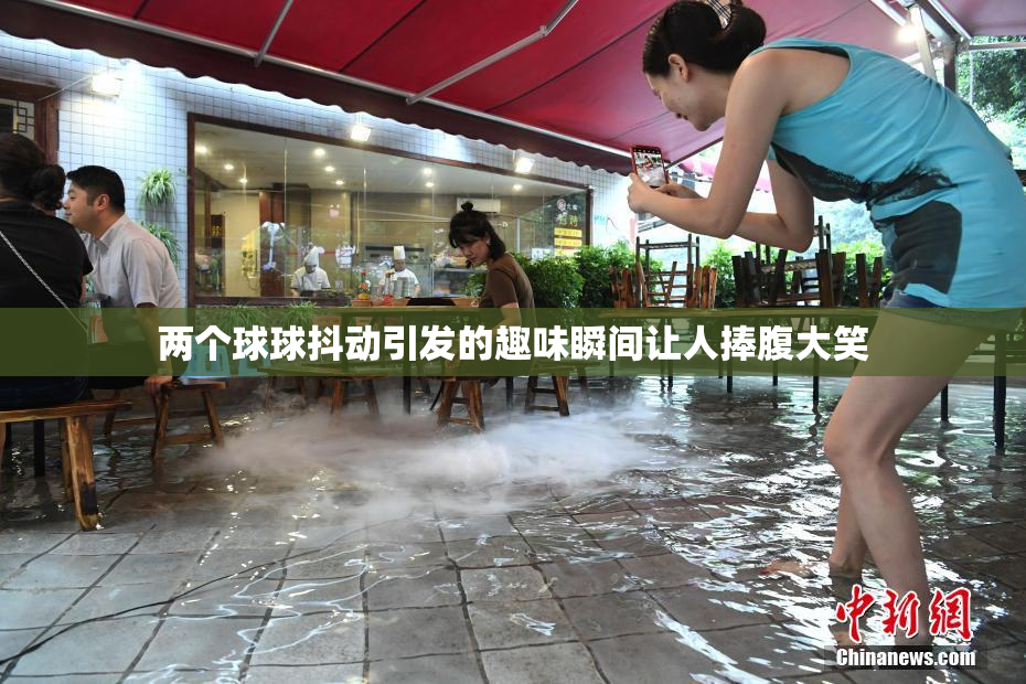 两个球球抖动引发的趣味瞬间让人捧腹大笑